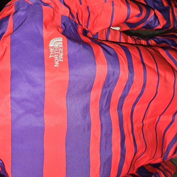 🩷The North Face Womens Beautiful NWTS snowboarding/ski jacket. Sz LG. Unique💜 - Picture 15 of 15